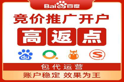 某电商平台的SEM优化托管实践与效果评估